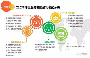 2017上半年中国精神类服务电商市场研究报告 信息咨询服务分析