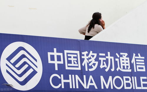 2022年 中国移动及员工在信息咨询服务领域的机遇与展望